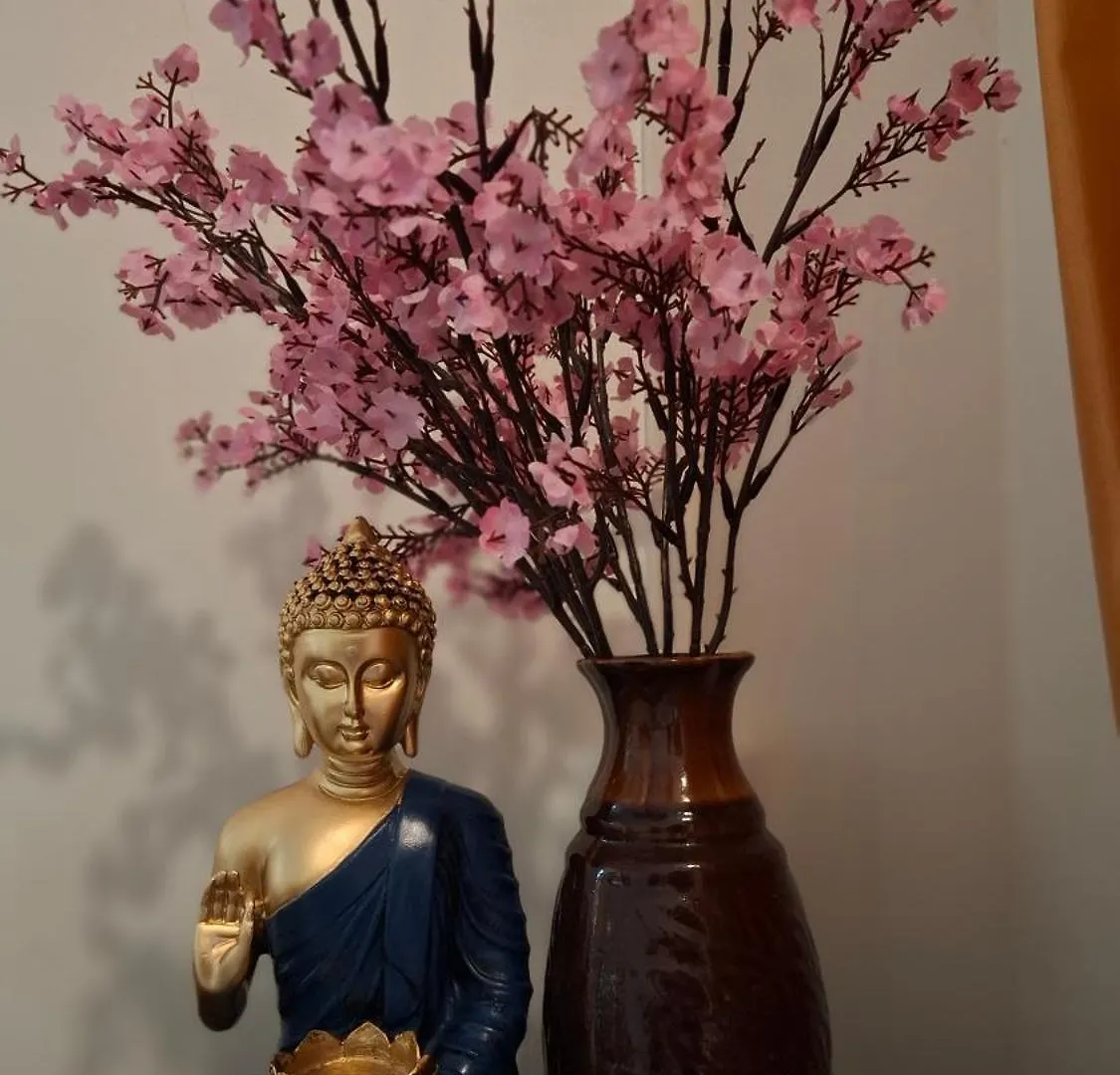 Purayilhomestay バルカラ